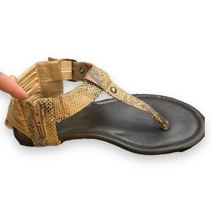 Women’s torrid 8 Wide T Strap Snake Skin Sandal